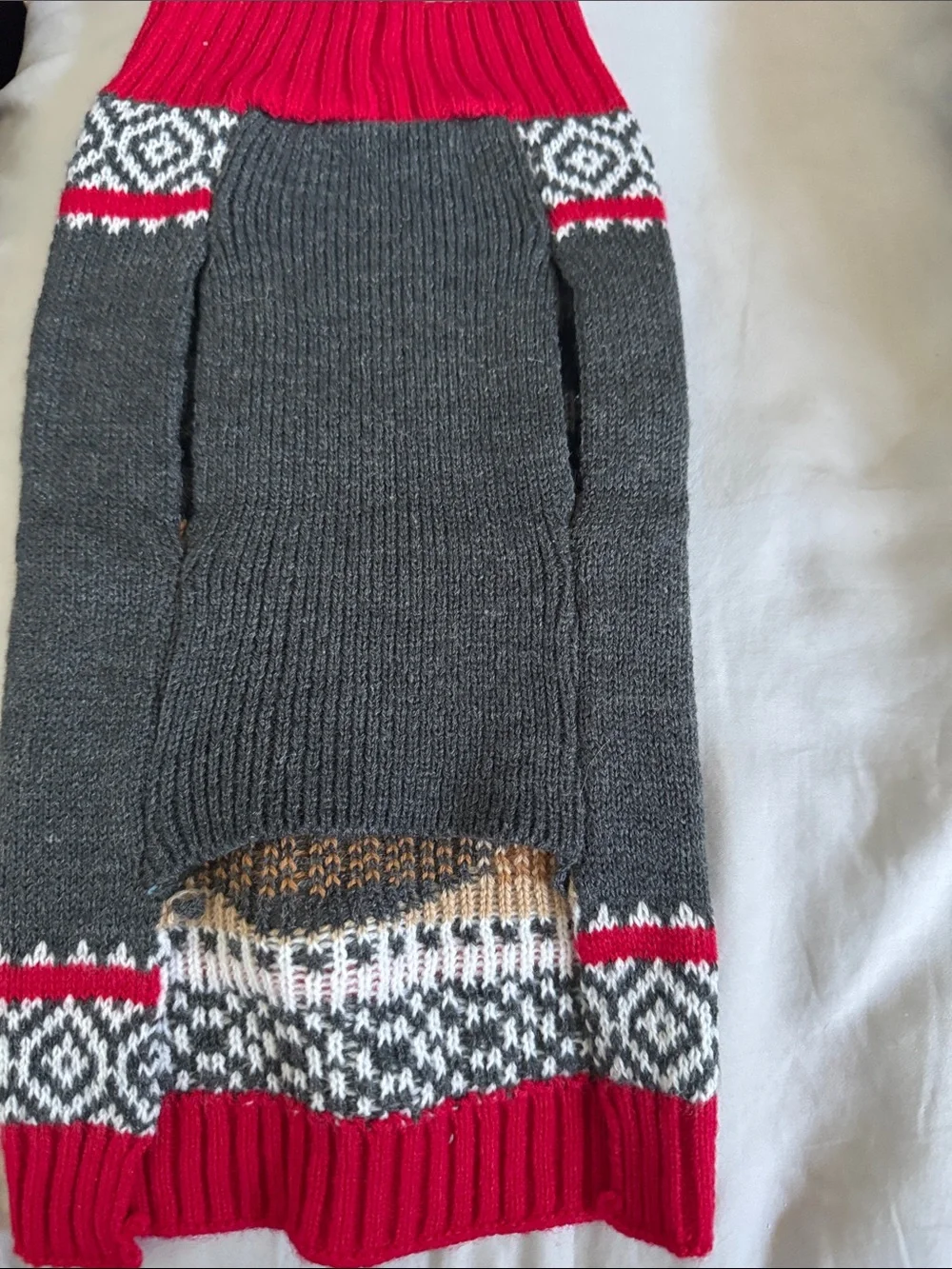 Rudolph the Red Nose Reindeer Knit Dog Sweater